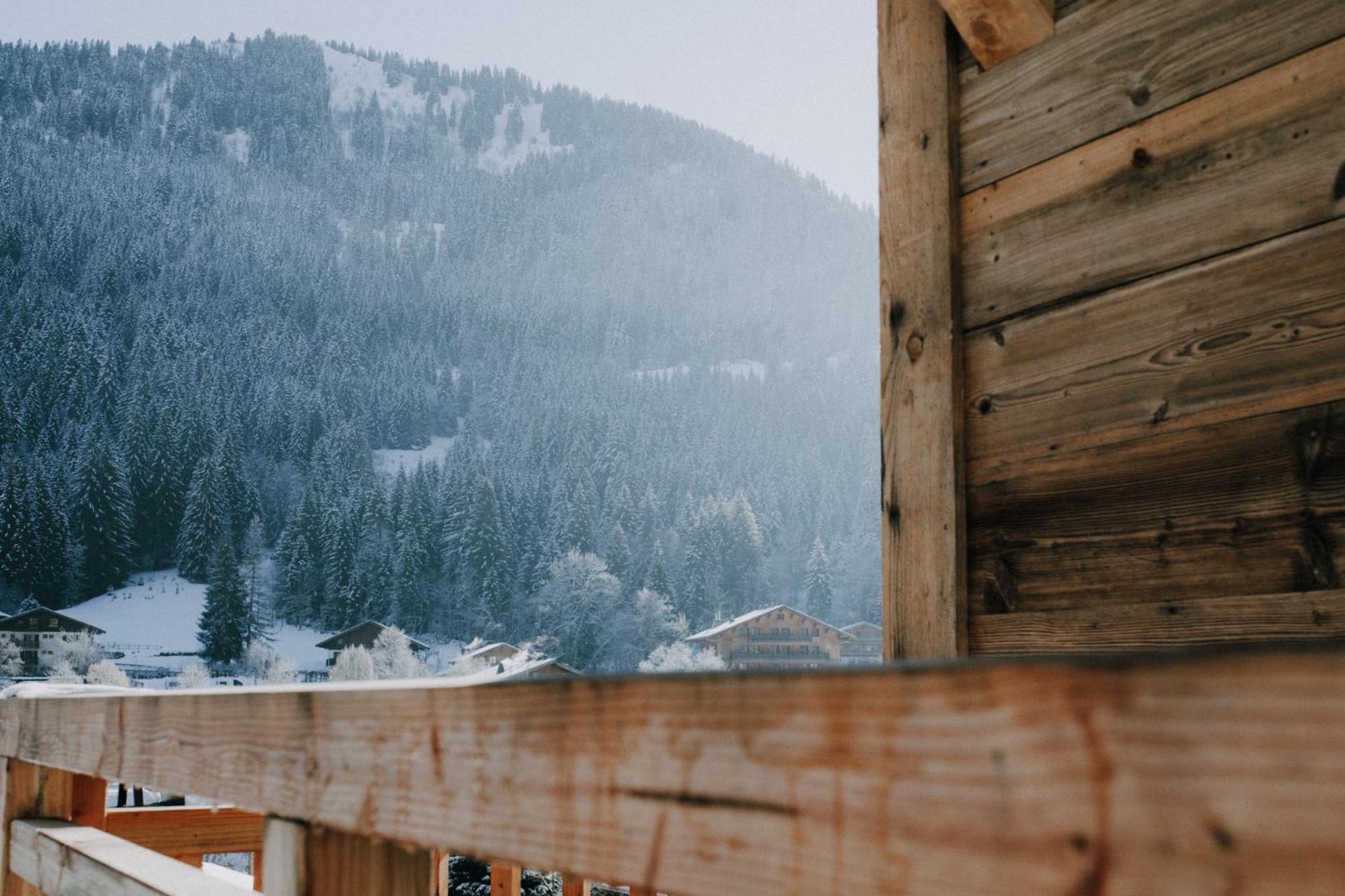 Savoya Lodges Chatel Exterior photo